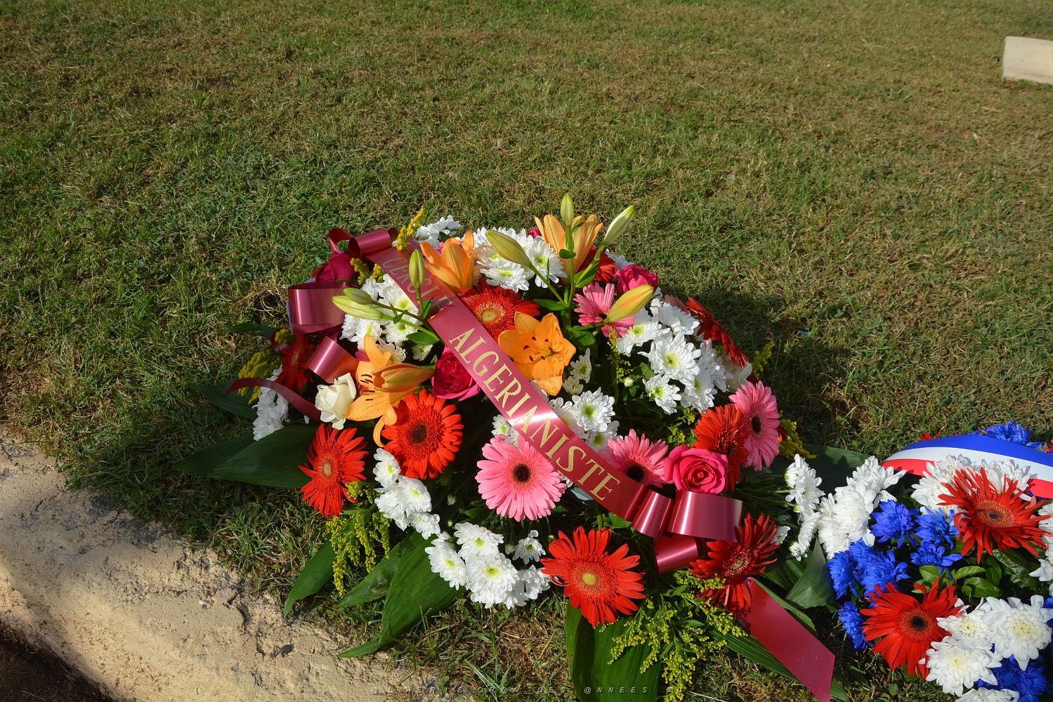 2018 09 25 TOULON HOMMAGE NATIONAL CONSACRE AUX HARKIS (7).JPG